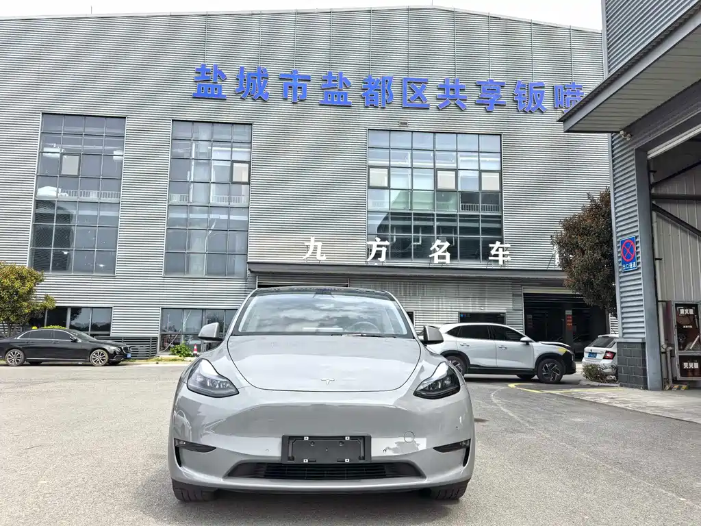 Model Y 2021 standard range rear-wheel drive version купить на сайте DeffCars