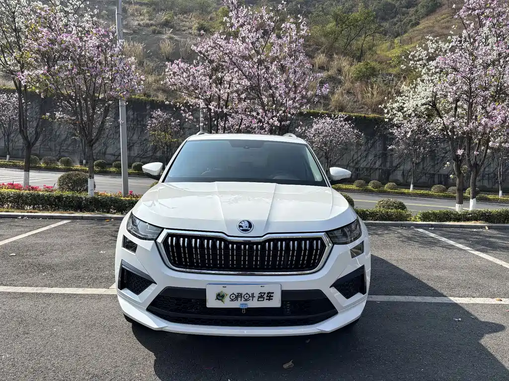 Kodiak 2025 TSI330 5-seater two-wheel drive powerful version купить на сайте DeffCars