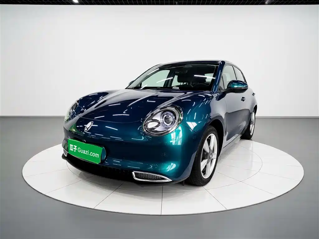 Euler Good Cat 2023 model 401km standard battery life luxury model lithium iron phosphate купить на сайте DeffCars
