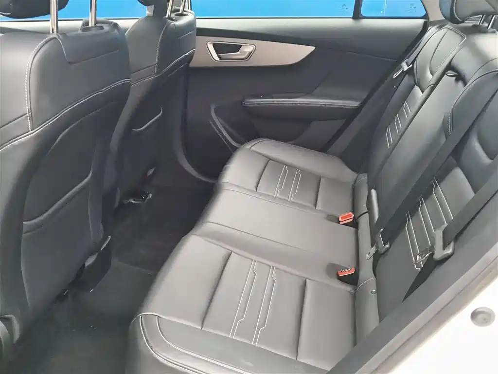 Qin 2019 1.5L automatic premium model купить на сайте DeffCars