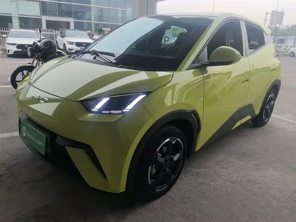 Seagull 2024 Honor Edition 305km Free Edition купить на сайте DeffCars