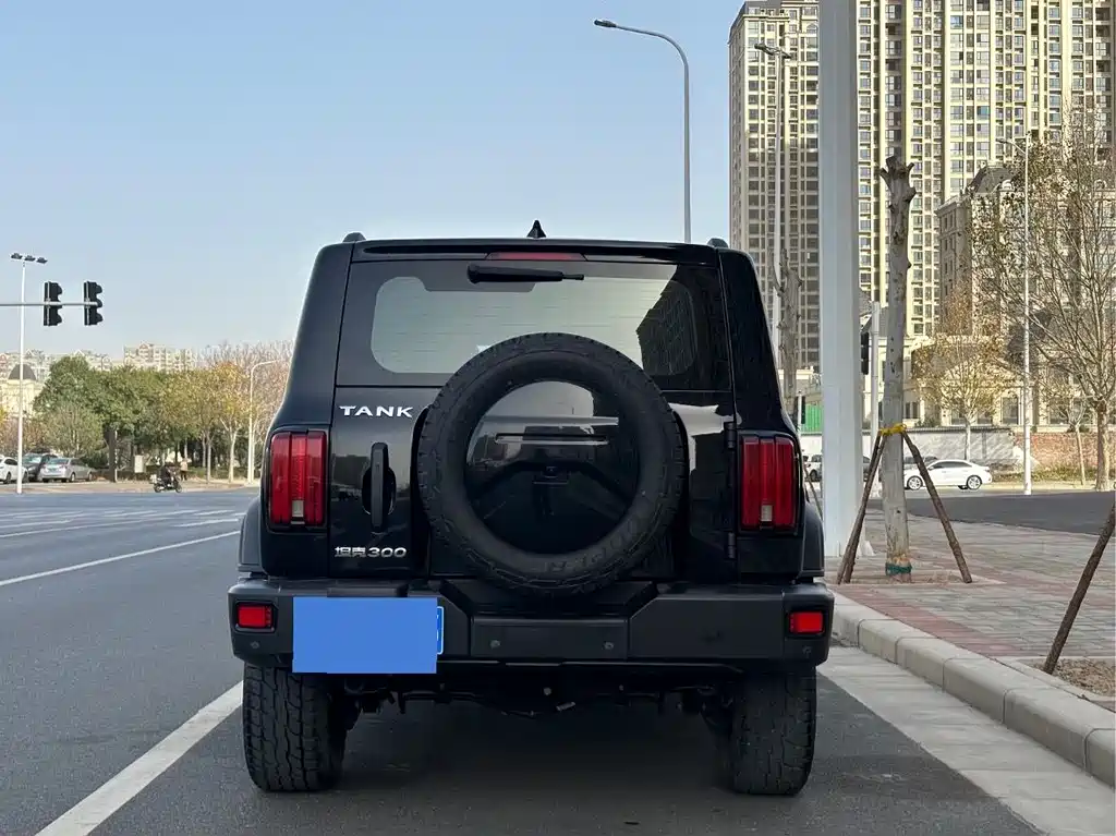 Tank 300 2021 Off-Road Version 2.0T Conqueror купить на сайте DeffCars