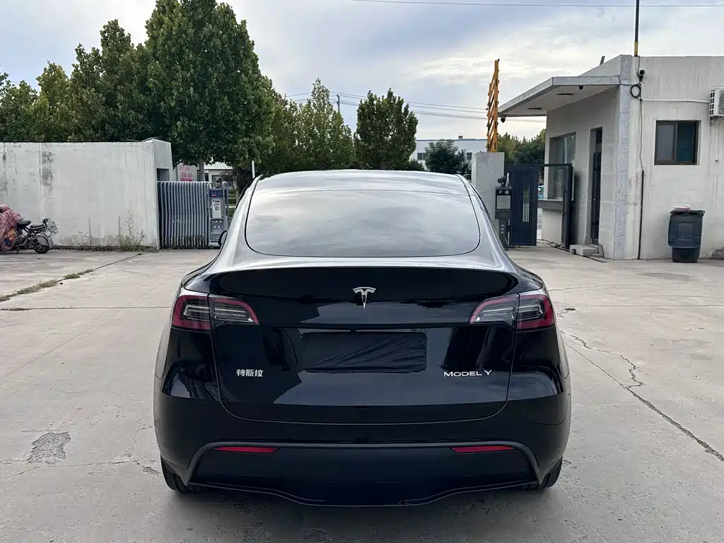 Model Y 2024 long-range all-wheel drive version купить на сайте DeffCars