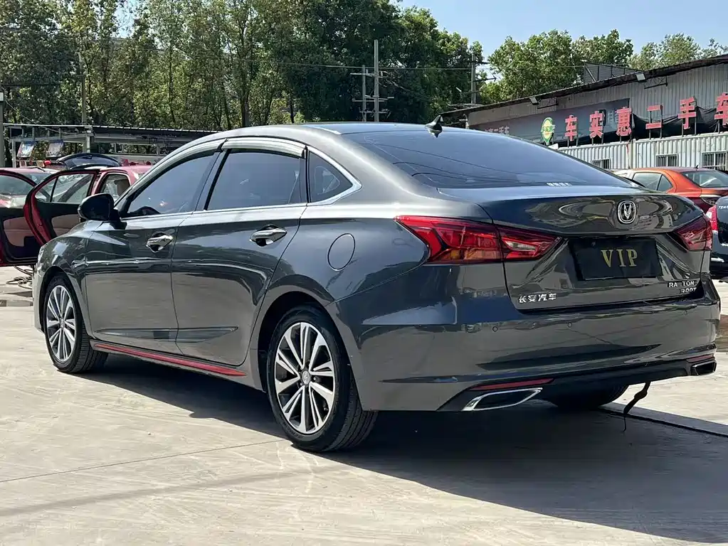Ruicheng CC 2021 Blue Whale Edition 1.5T DCT flagship model купить на сайте DeffCars
