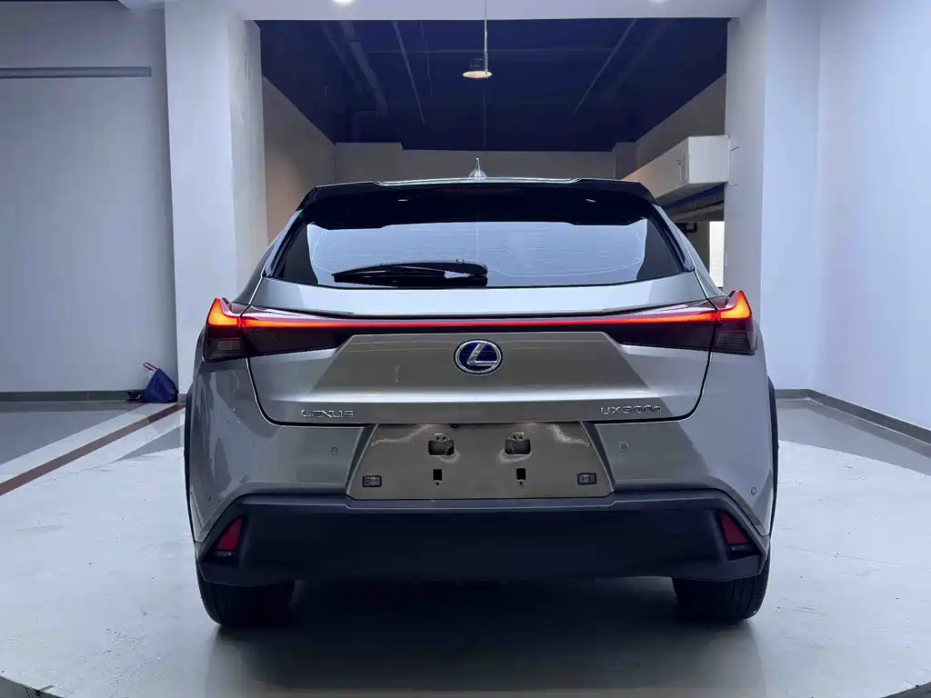 Lexus UX New Energy 2020 300e Pure Edition купить на сайте DeffCars