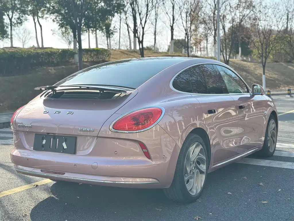 Euler Lightning Cat 2022 600km four-wheel drive high-performance version купить на сайте DeffCars