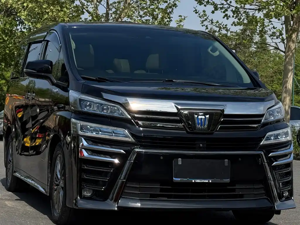 Wilfa 2020 Shuangqing 2.5L HV Premium Edition купить на сайте DeffCars