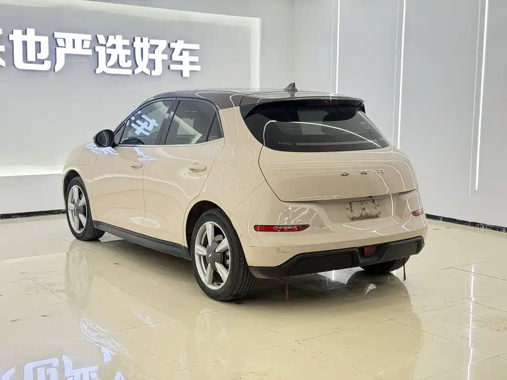 Euler Good Cat 2021 Model 400km Standard Range Athena Edition Lithium Iron Phosphate купить на сайте DeffCars