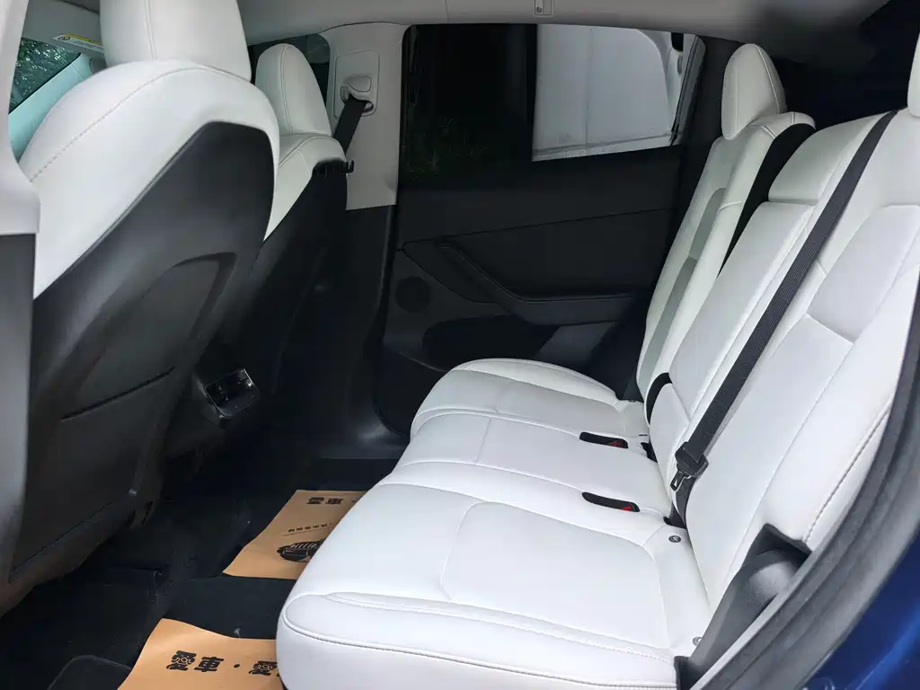 Model Y 2023 rear-wheel drive version купить на сайте DeffCars