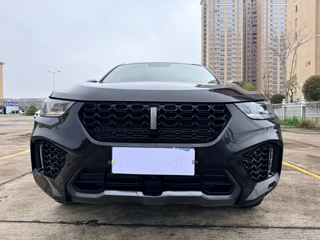 Wei brand VV5 2019 1.5T two-wheel drive Yanfeng купить на сайте DeffCars