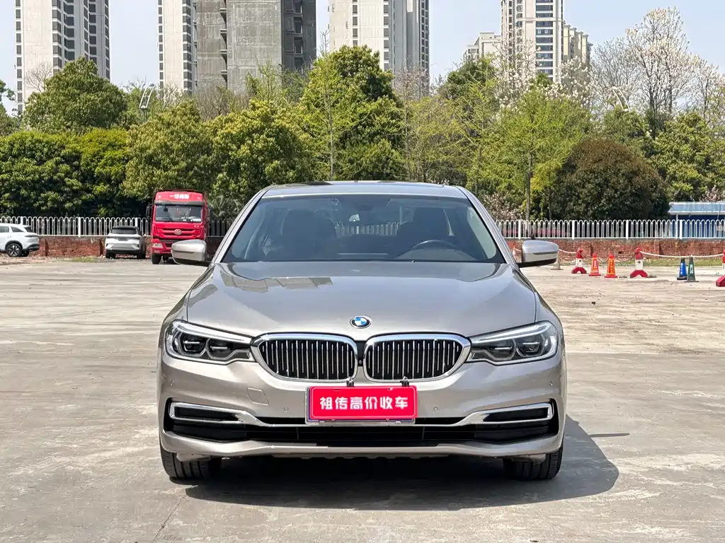 BMW 5 Series 2020 530Li Leading Luxury Package купить на сайте DeffCars