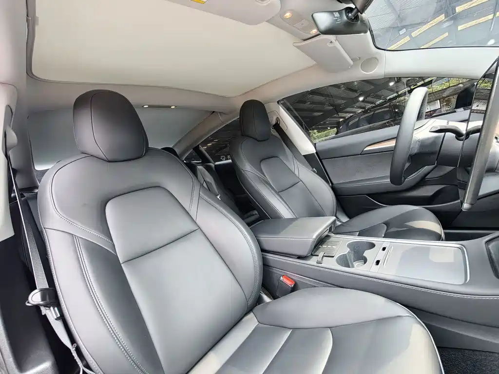 Model 3 2022 rear-wheel drive version купить на сайте DeffCars