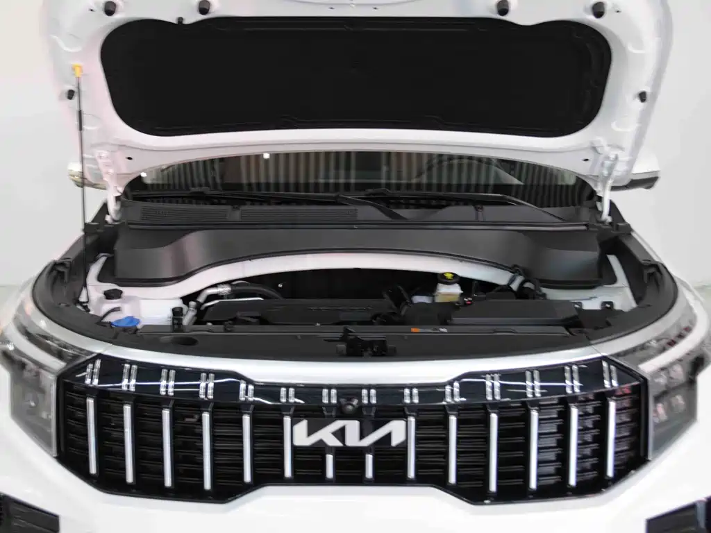 Zhipao 2021 Ace 2.0L Wonderful Edition купить на сайте DeffCars