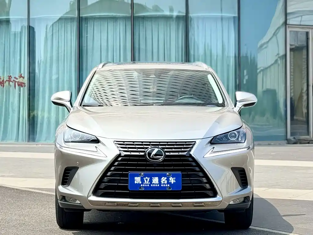 Lexus NX 2020款 200 全驱 锋尚版 国VI купить на сайте DeffCars
