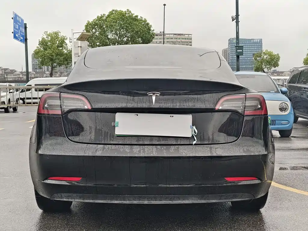 Model 3 2022 rear-wheel drive version купить на сайте DeffCars