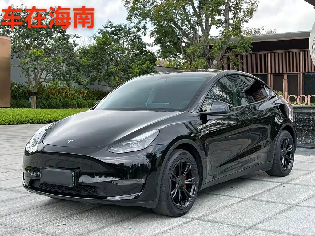 Model Y 2021 standard range rear-wheel drive version купить на сайте DeffCars