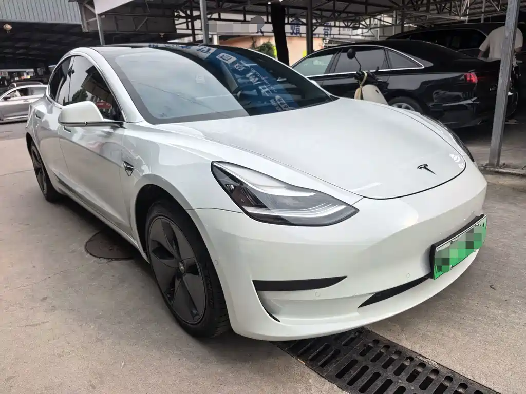 Model 3 2020 Standard Range Rear Drive Upgraded Version купить на сайте DeffCars