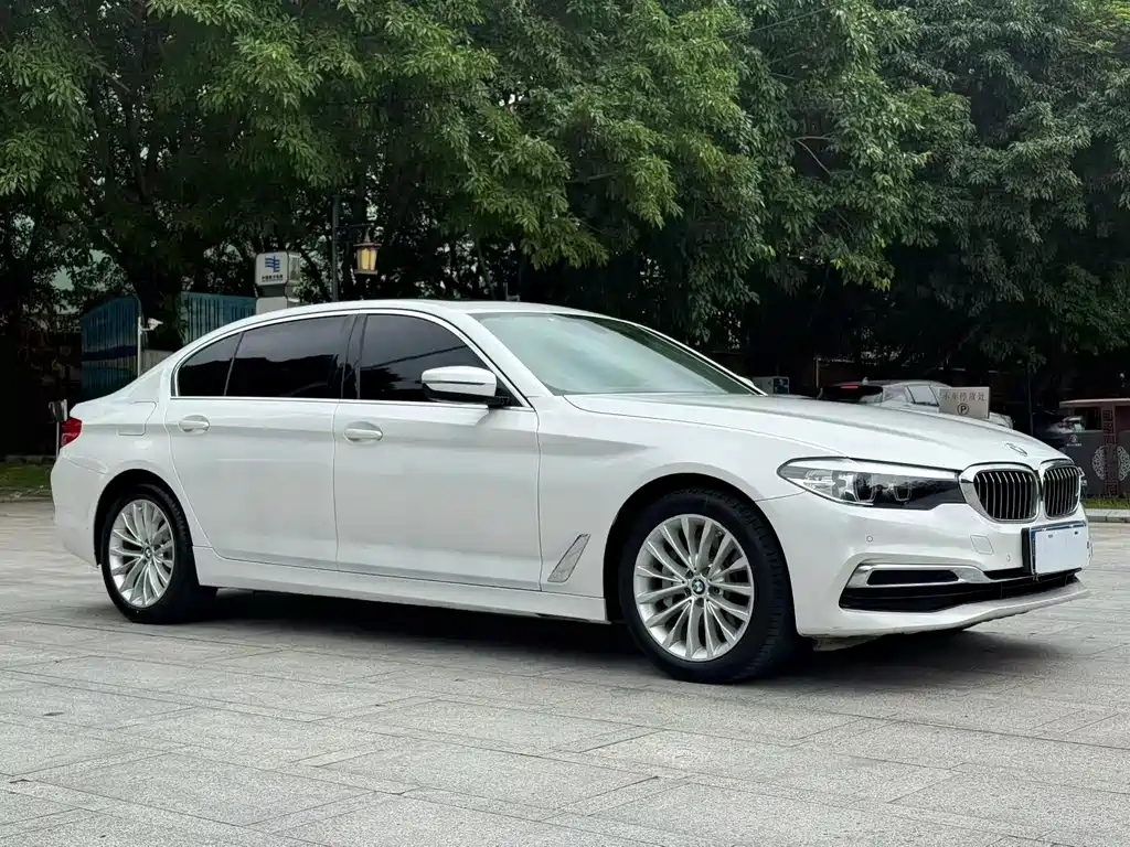 BMW 5 Series 2019 530Li Leading Luxury Package купить на сайте DeffCars