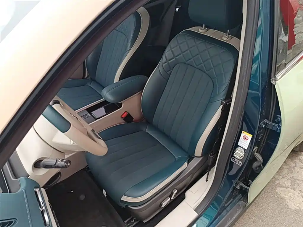 Euler Good Cat 2021 model 400km standard battery life Athena version ternary lithium купить на сайте DeffCars