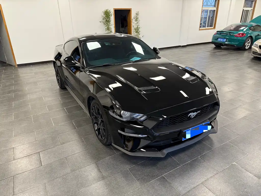 Mustang 2019 2.3L EcoBoost купить на сайте DeffCars