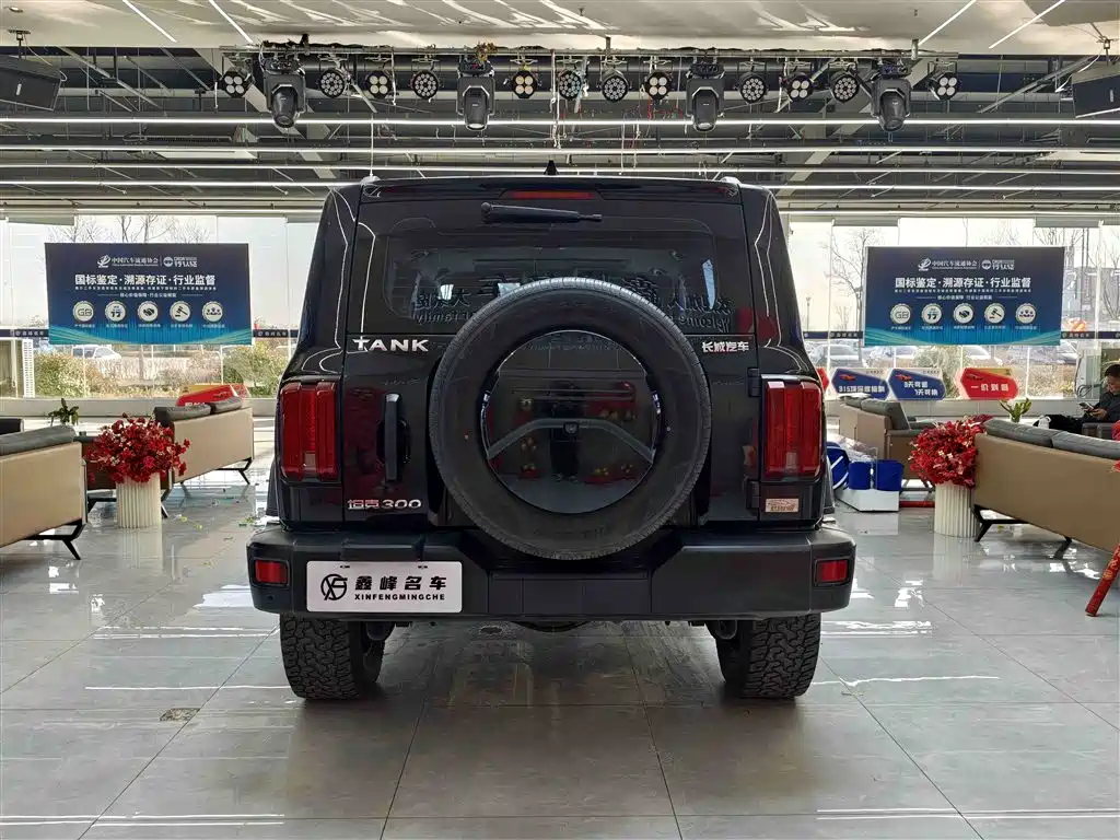 Tank 300 2024 2.0T Conqueror купить на сайте DeffCars