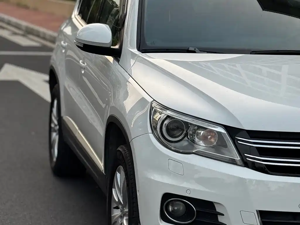 Tiguan 2010 2.0TSI automatic four-wheel drive flagship version купить на сайте DeffCars