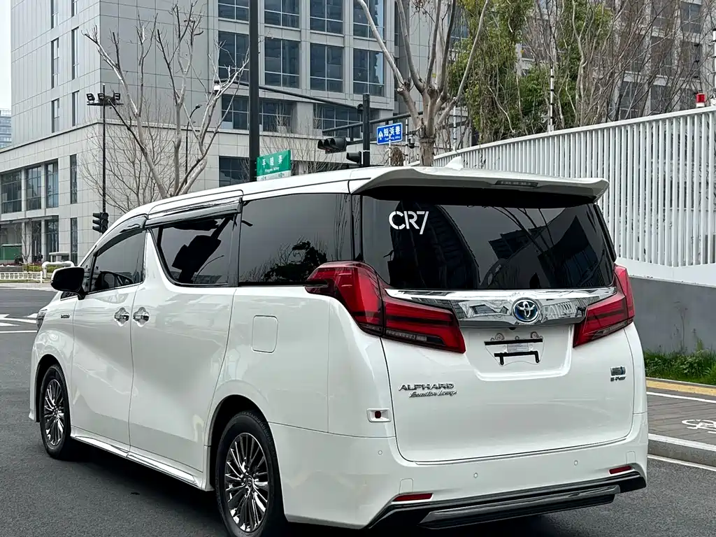 Alfa 2021 Shuangqing 2.5L Premium Edition купить на сайте DeffCars