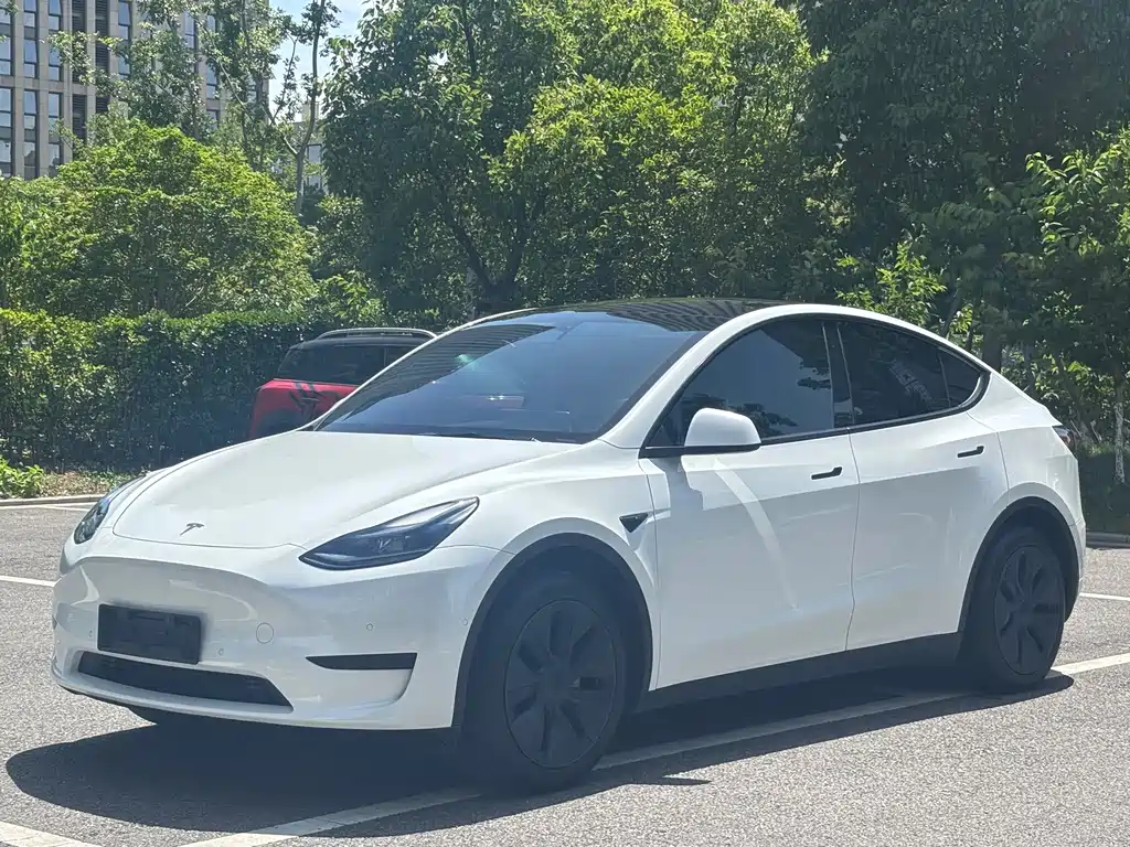 Model Y 2023 rear-wheel drive version купить на сайте DeffCars