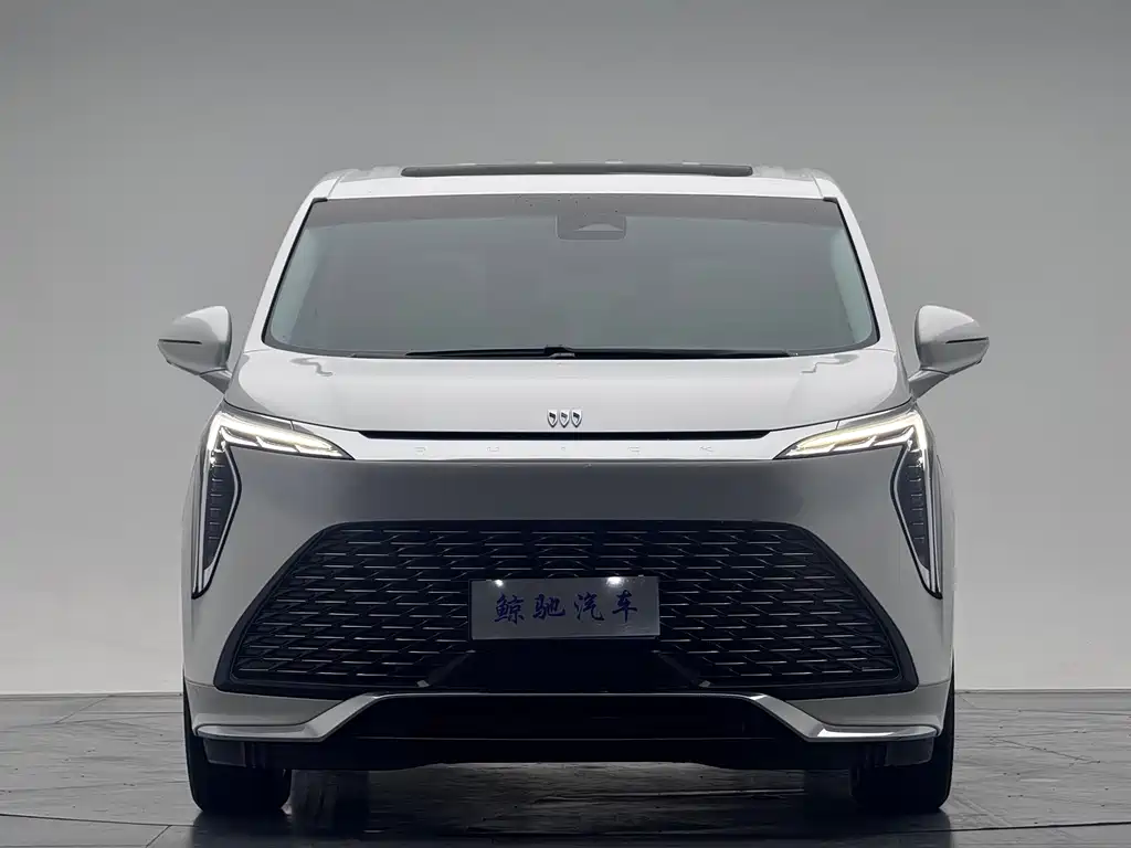 Century 2023 2.0T Six-seater Yuanshi Edition купить на сайте DeffCars