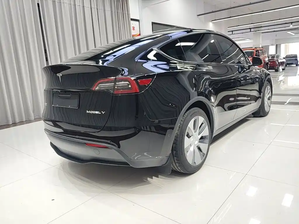 Model Y 2021 standard range rear-wheel drive version купить на сайте DeffCars