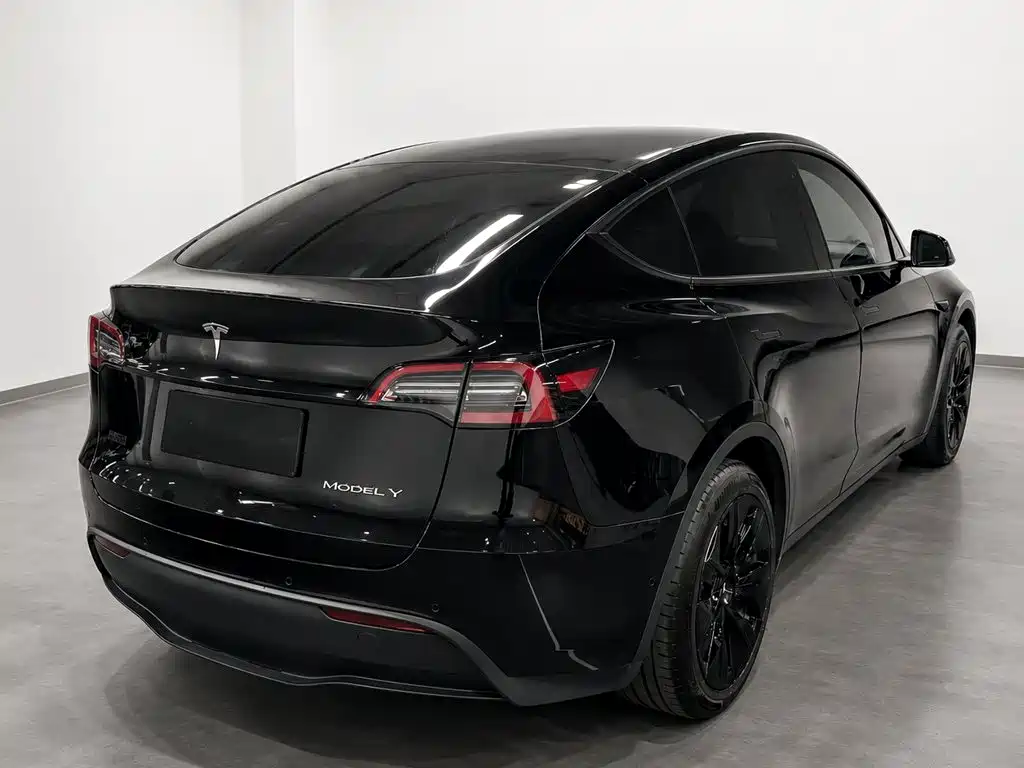 Model Y 2021 standard range rear-wheel drive version купить на сайте DeffCars