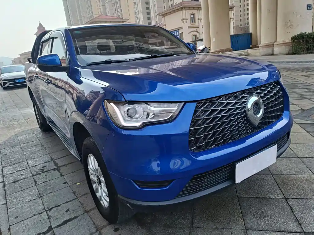 Cannon 2019 2.0T commercial version automatic gasoline two-wheel drive elite long box GW4C20B купить на сайте DeffCars