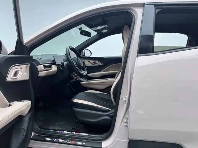 Seagull 2025 305km active version купить на сайте DeffCars