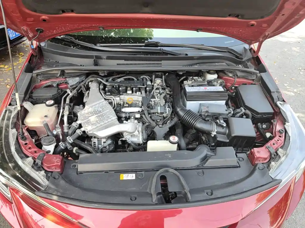 Ralink 2019 185T CVT Sports Edition National VI купить на сайте DeffCars