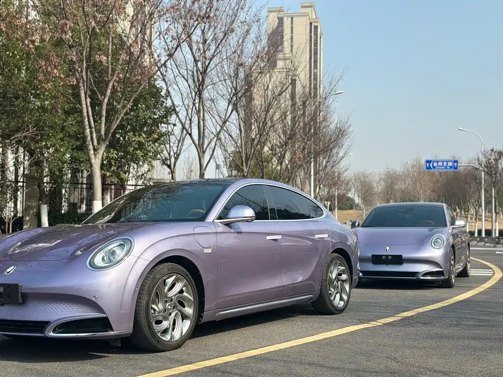 Euler Lightning Cat 2022 555km Premium Edition купить на сайте DeffCars