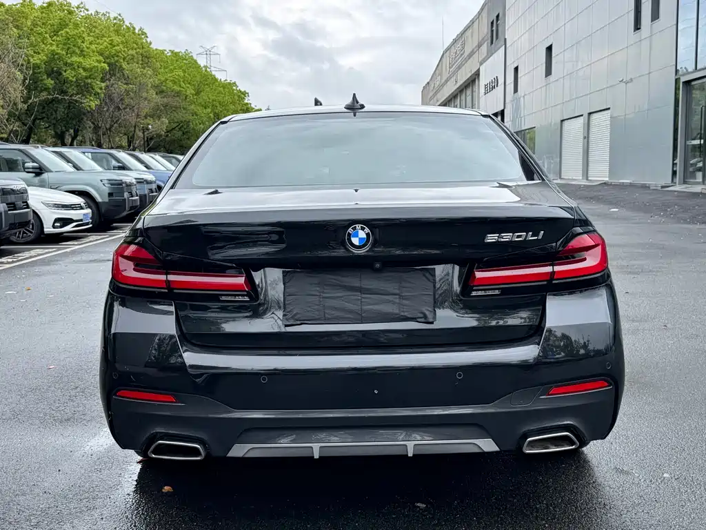 BMW 5 Series 2021 530Li Leading M Sports Package купить на сайте DeffCars