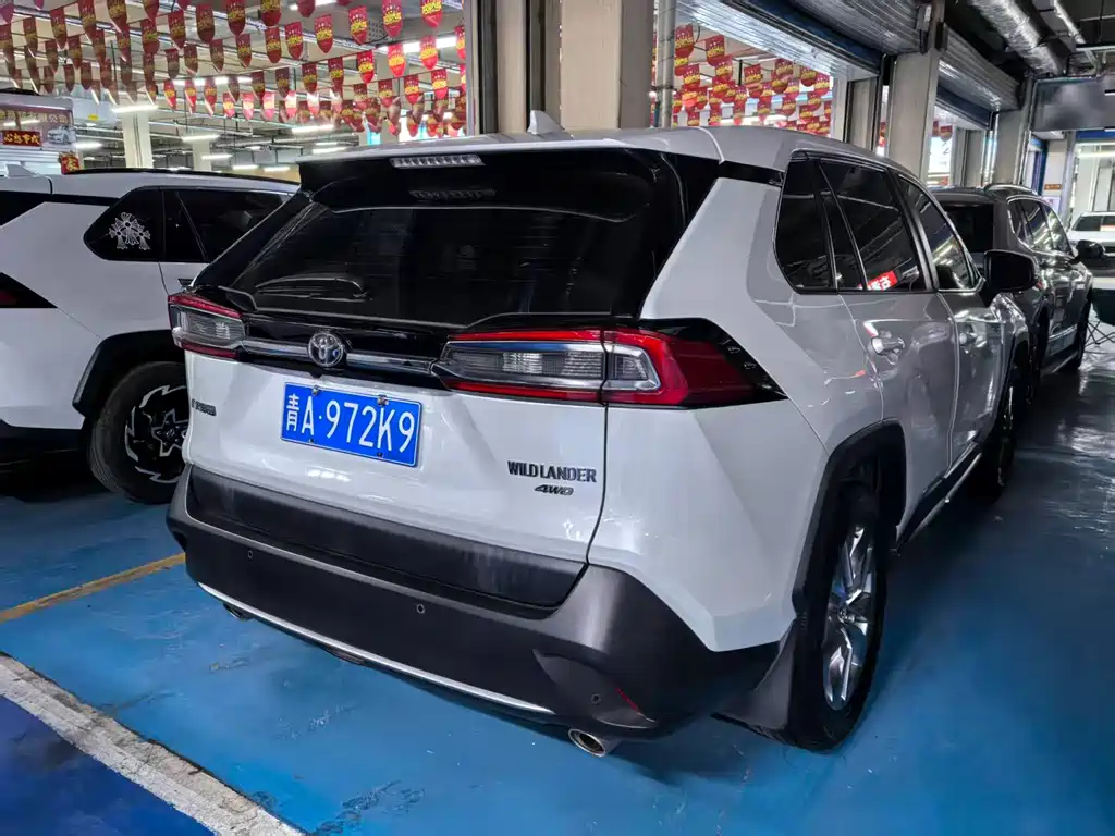 Wildlander 2020 2.0L CVT four-wheel drive luxury version купить на сайте DeffCars