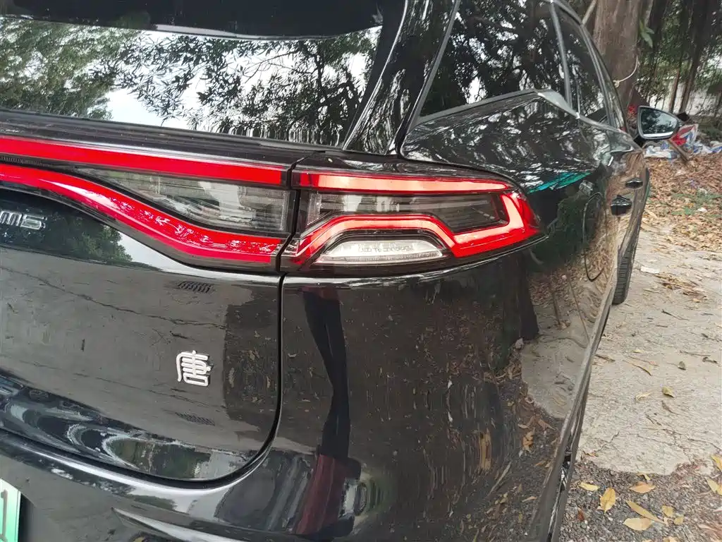 Tangxin Energy 2023 DM-i Champion Edition 112KM Exclusive Type купить на сайте DeffCars