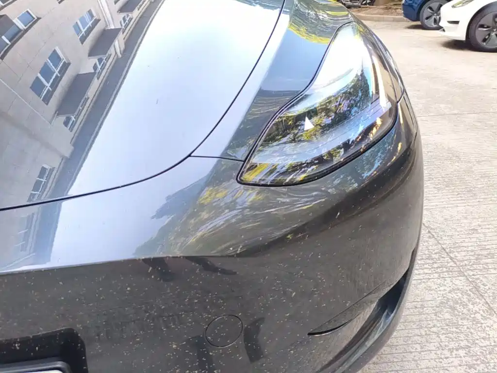 Model Y 2024 rear-wheel drive version купить на сайте DeffCars