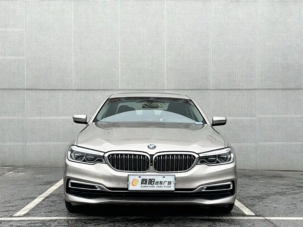 BMW 5 Series 2020 530Li Leading Luxury Package купить на сайте DeffCars