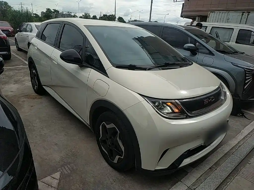 Dolphin 2025款 420km 活力版 купить на сайте DeffCars