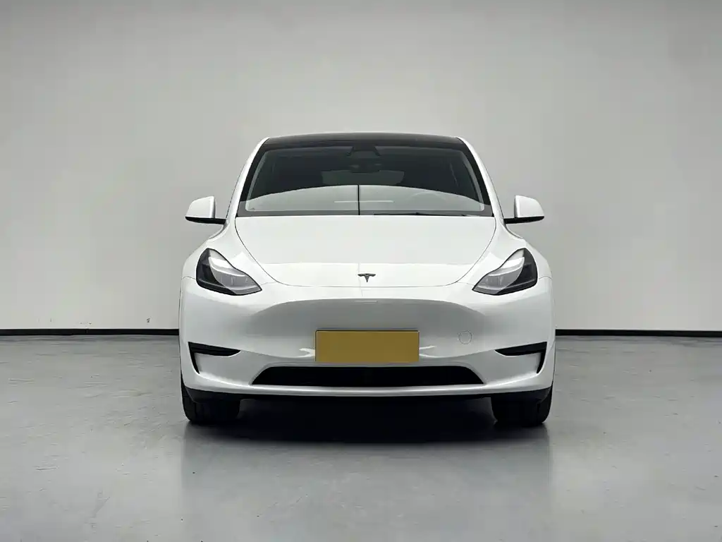 Model Y 2024 rear-wheel drive version купить на сайте DeffCars