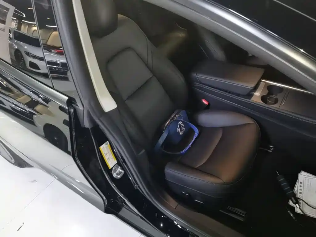 Model 3 2021 Standard Range Rear Drive Upgrade купить на сайте DeffCars