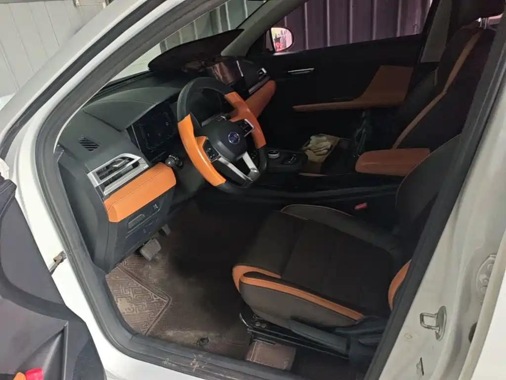 BYD E2 2020 Upgrade High Endurance Luxury Edition купить на сайте DeffCars