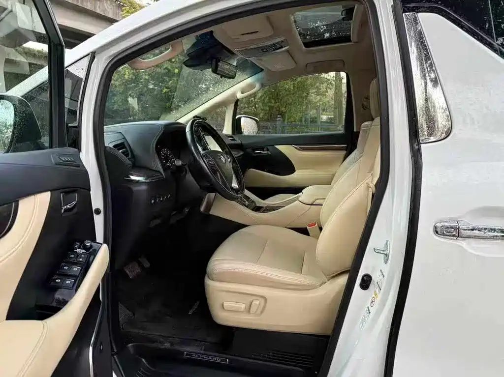 Alfa 2019 Shuangqing 2.5L Premium Edition купить на сайте DeffCars