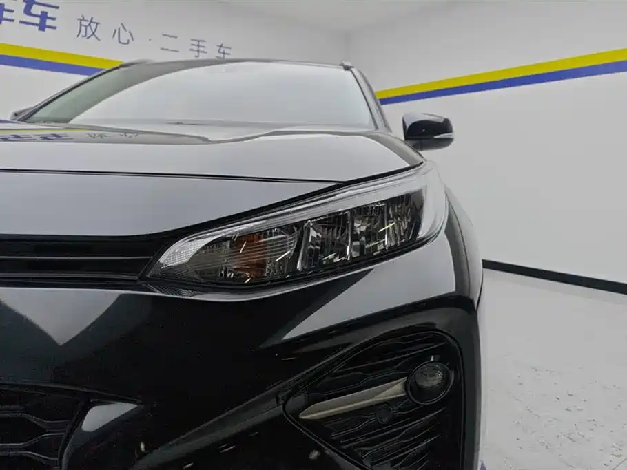 Wilanda 2020 2.0L CVT two-wheel drive luxury version купить на сайте DeffCars