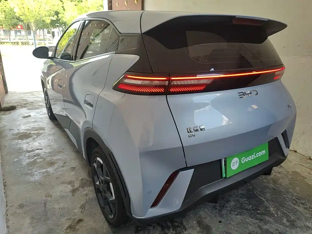 Seagull 2024 Honor Edition 305km Free Edition купить на сайте DeffCars