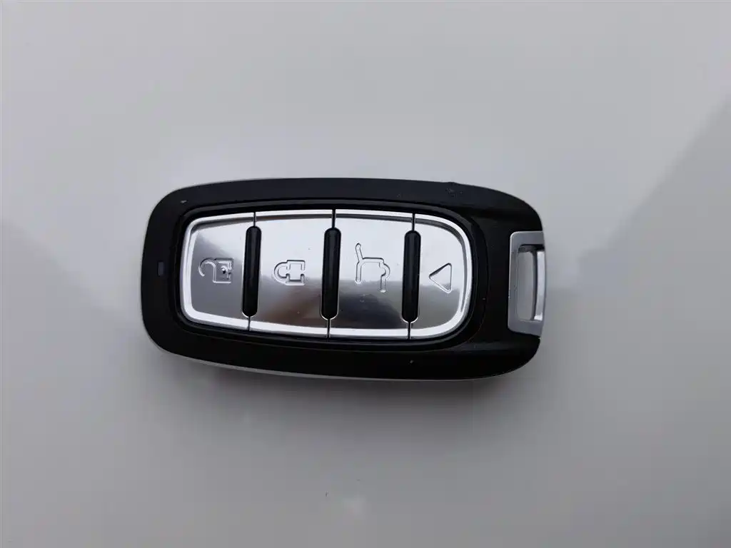 Forex 2019 facelift 1.5L automatic enjoyment type National VI купить на сайте DeffCars