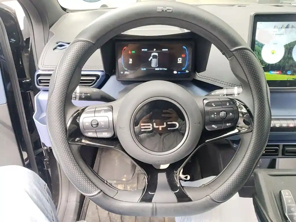 Seagull 2025 305km active version купить на сайте DeffCars