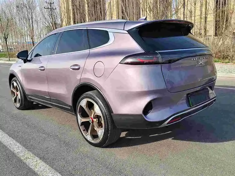 Denza X 2020 PHEV flagship version купить на сайте DeffCars